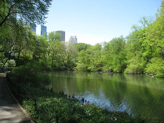 Rented by Bold New York | media 9