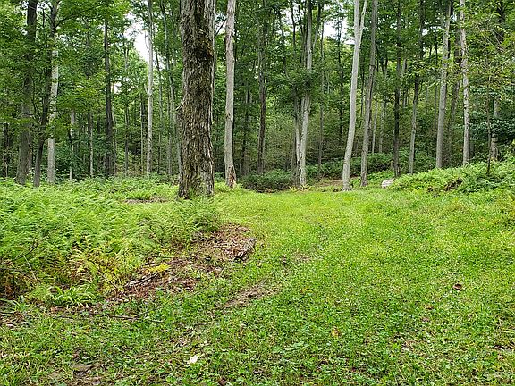 Deer Travel Corridors