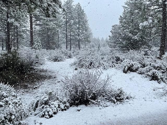 2nd image of LOT 44 Butte Creek Rd