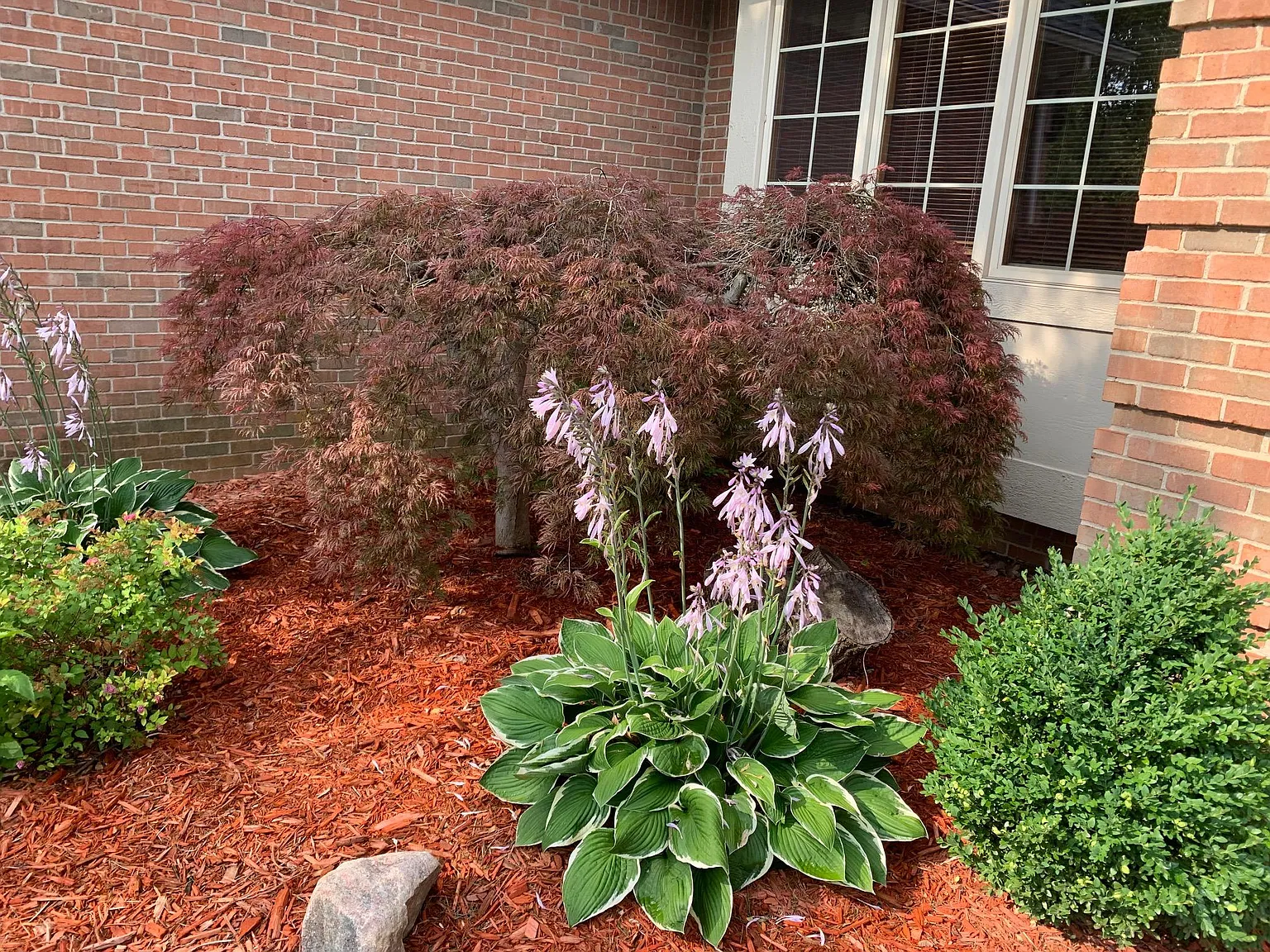 7805 Rutherford Ct — Photo 4