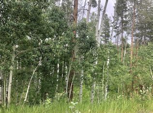 22540 Cheyenne Trl, Oak Creek, CO 80467