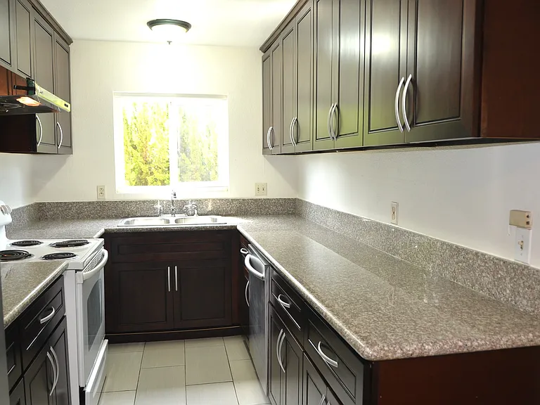 10414 Caminito Rimini — Photo 11