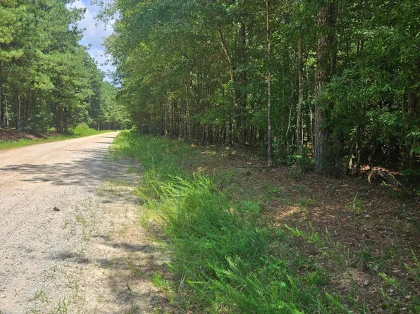 292 McCannon Rd Tract 3A, Carlton, GA 30627