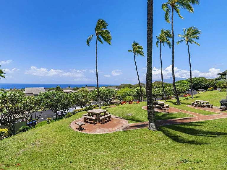 Wailea Ekolu Pl — Photo 44