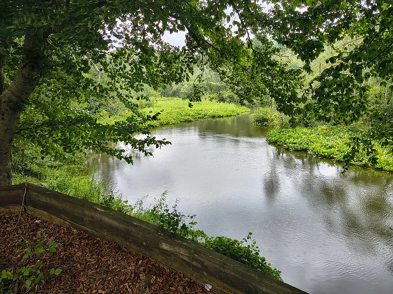 River view