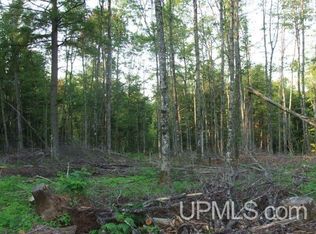 County Line Lake Rd, Bruce Crossing, MI 49912