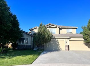 307 Lahinch Ct, Dayton, NV 89403