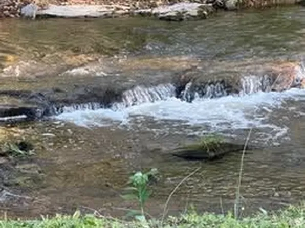 636 Dale #189, Everton, MO 65646