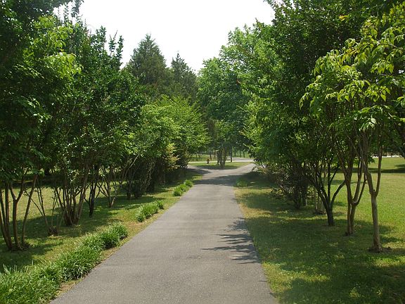 View of Driveway