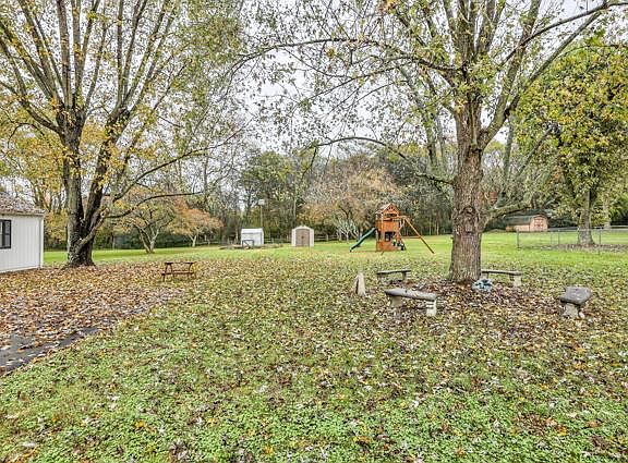 Large, lovely backyard