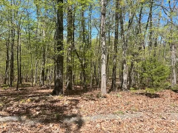 0 Wildwood Ln, Shenandoah, VA 22849