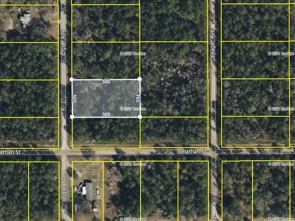 10720 Zigler Ave, Hastings, FL 32145