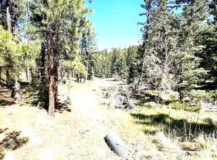Lot 58 Calle de los Indios, Angel Fire, NM 87710