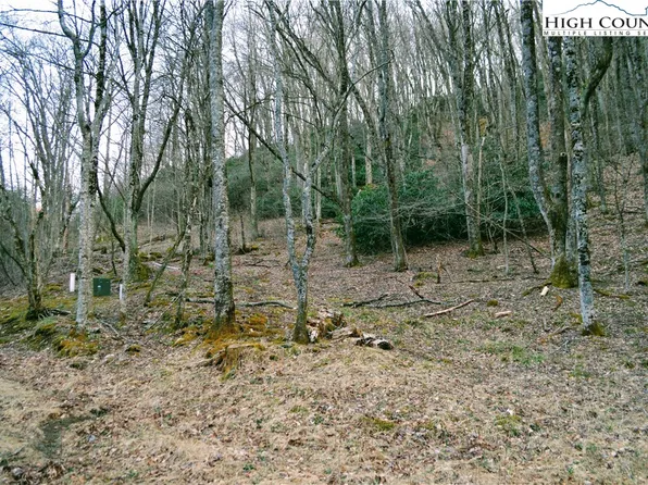 Lot 101 Beaver Lodge Trail, Blowing Rock, NC 28605