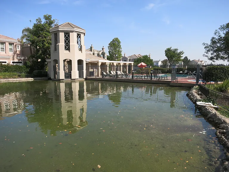 Pond adjacent to the community pool