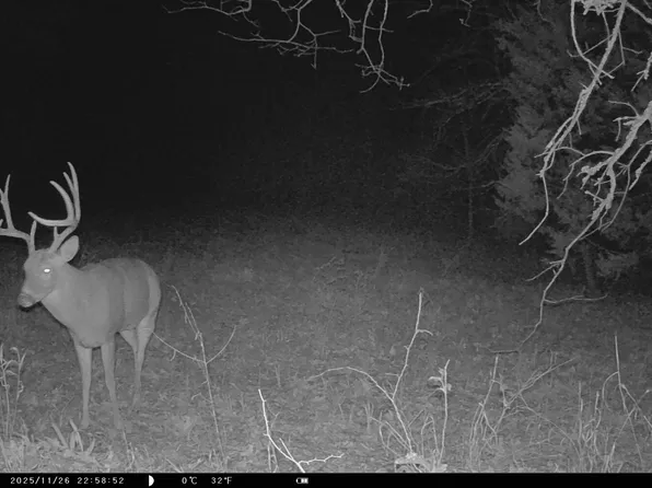 0 N 385th Rd, Stuart, OK 74570