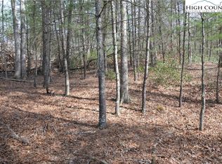 LOT 6 Cubs Ln, Sparta, NC 28675