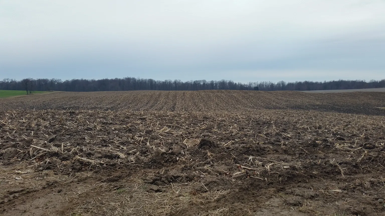 925 Powell Rd photo 1