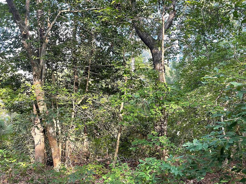 133 Lee St LOT 24, Jarvisburg, NC 27947 Zillow