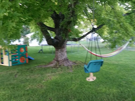 Large maple shaded play area