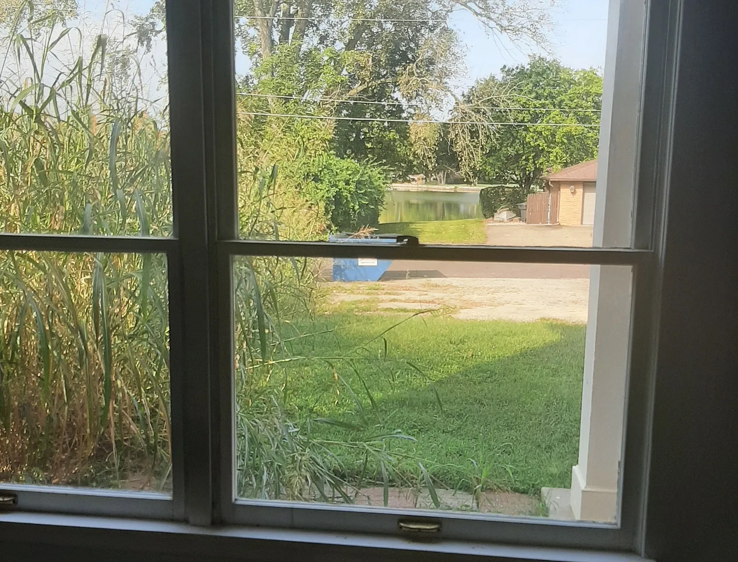 2 bed, 950 sqft, $1,100 — Photo 3