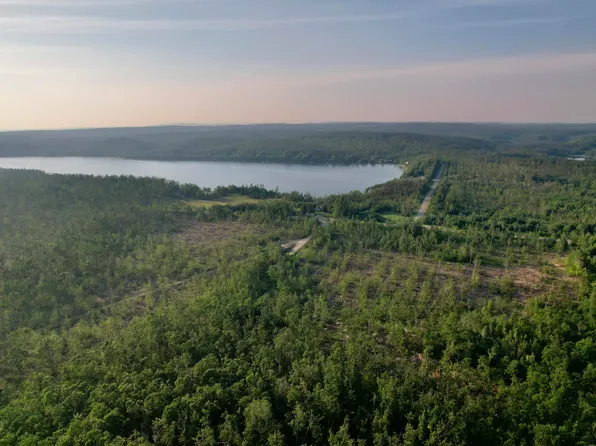 1308 Magee Rd S, Vanderbilt, MI 49795