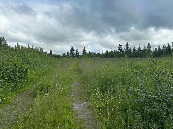 0 Dubova Rd, Anchor Pt, AK 99556