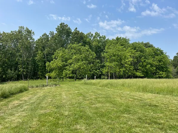 000 Grimes Mill Drive, Mountain Grove, MO 65711