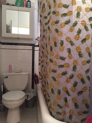 Rented by A D Shaye Realty Group  | media 12