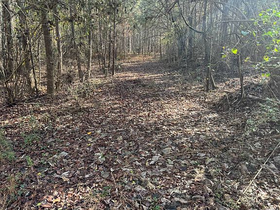 2nd image of 0 Scott Rd