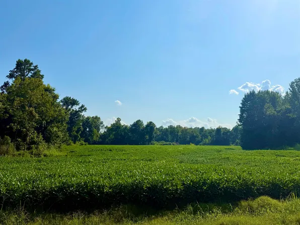 0 Adkins Rd, Burlison, TN 38015