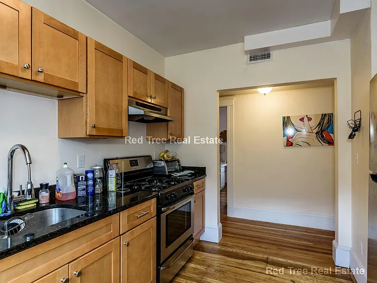 229-231 Chestnut Hill Ave #2 — Photo 9