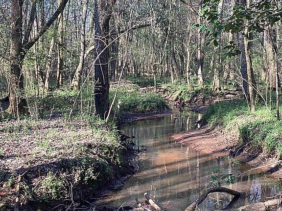 4th image of 108 Carlisle Rd