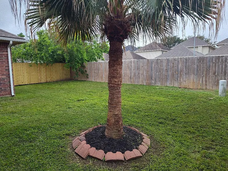 6327 Bonnie Chase Ln — Photo 28