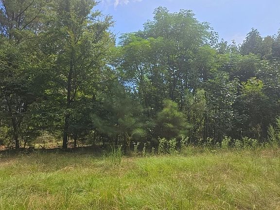 3rd image of 1547 Cartledge Rd