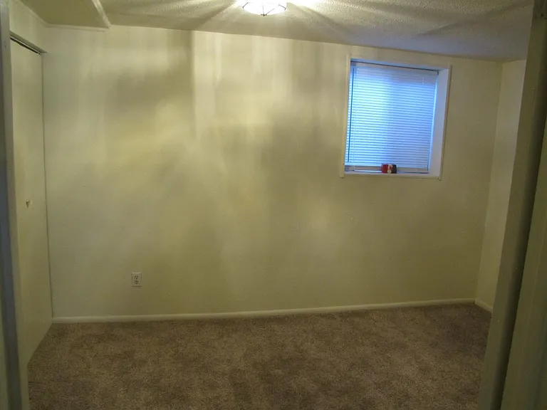 Bedroom basement with closet, open shelves and window to back patio