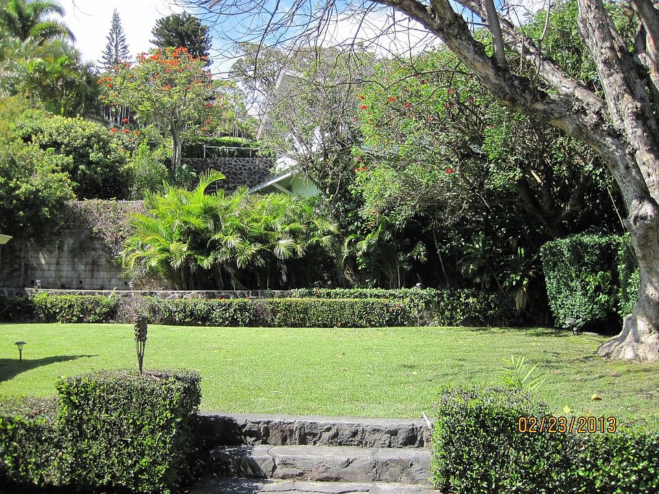 Back yard