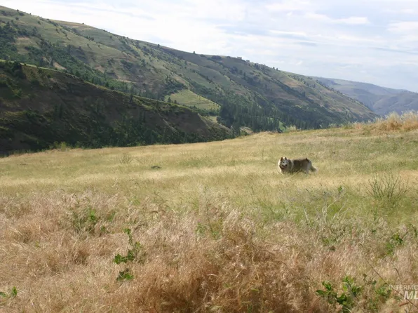 George Grade, Culdesac, ID 83524