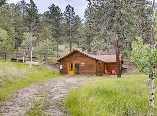 566 Old State Rd, Bailey, CO 80421