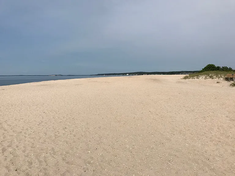 1754 Majors Path — Photo 33