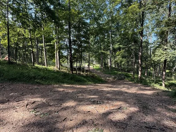 Sir Johns Run Rd, Berkeley Springs, WV 25411