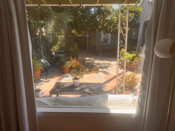 View of courtyard from living room window.