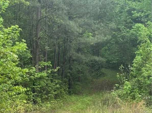 0 Sylvan Loop Rd, Fosters, AL 35463