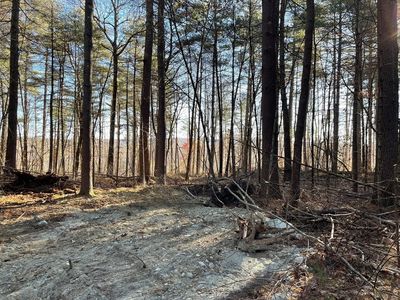 LOT 38 38a&29 Michael Shrs, Belchertown, MA, 01007