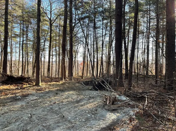 LOT 38 38a&29 Michael Shrs, Belchertown, MA 01007