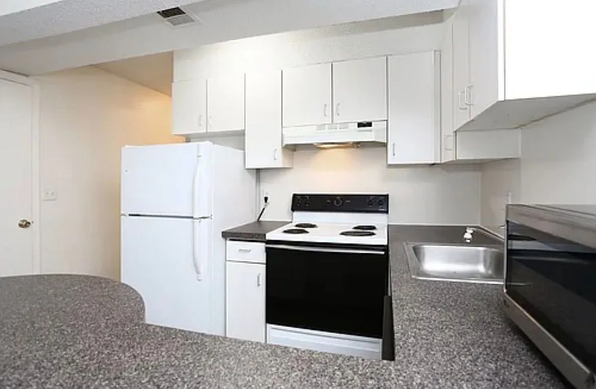 2 bed, 1000 sqft, $1,500 — Photo 2