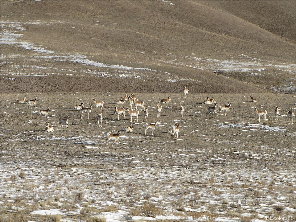 1st image of 279 Beniha Trl
