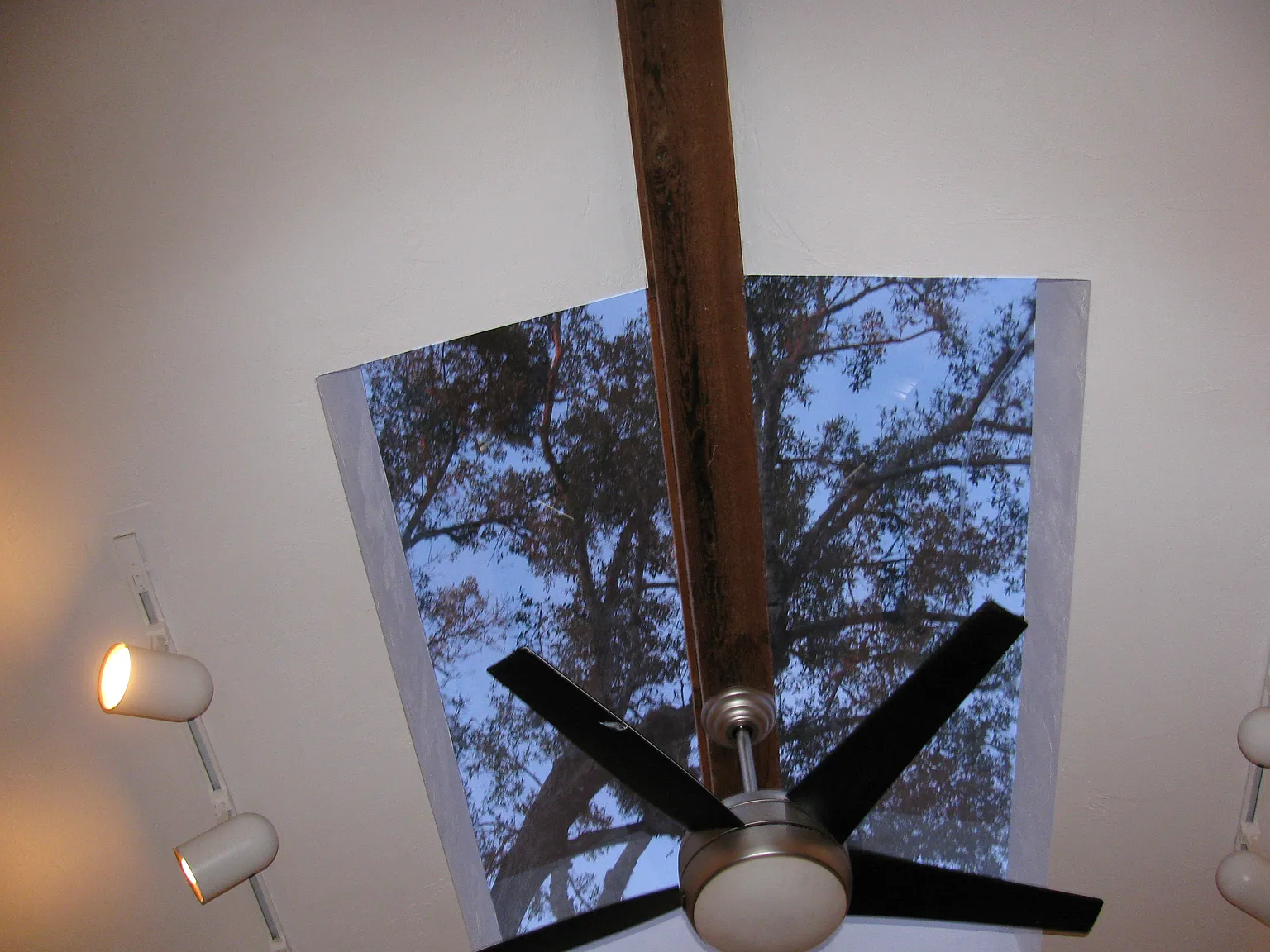 3 bed, 1341 sqft, $2,200 — Photo 4