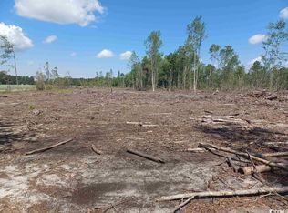 TRACT 4 Luck Rd #8.24, Nichols, SC 29581