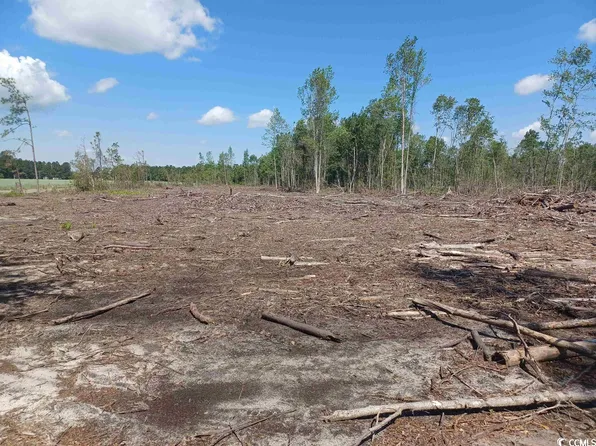 Tract 4 Luck Rd. #8.24 Acres, Nichols, SC 29581